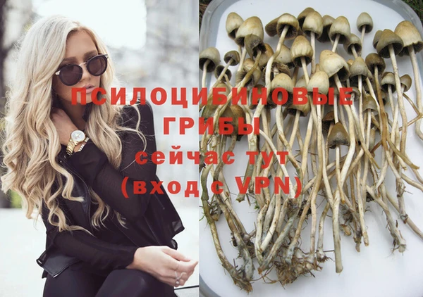 ECSTASY Армянск