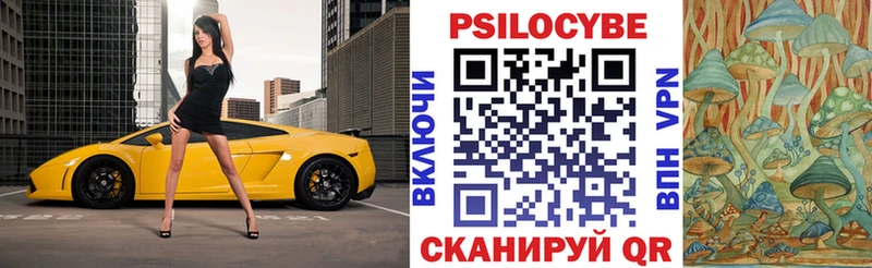 Псилоцибиновые грибы GOLDEN TEACHER  Купить где  Курганинск 